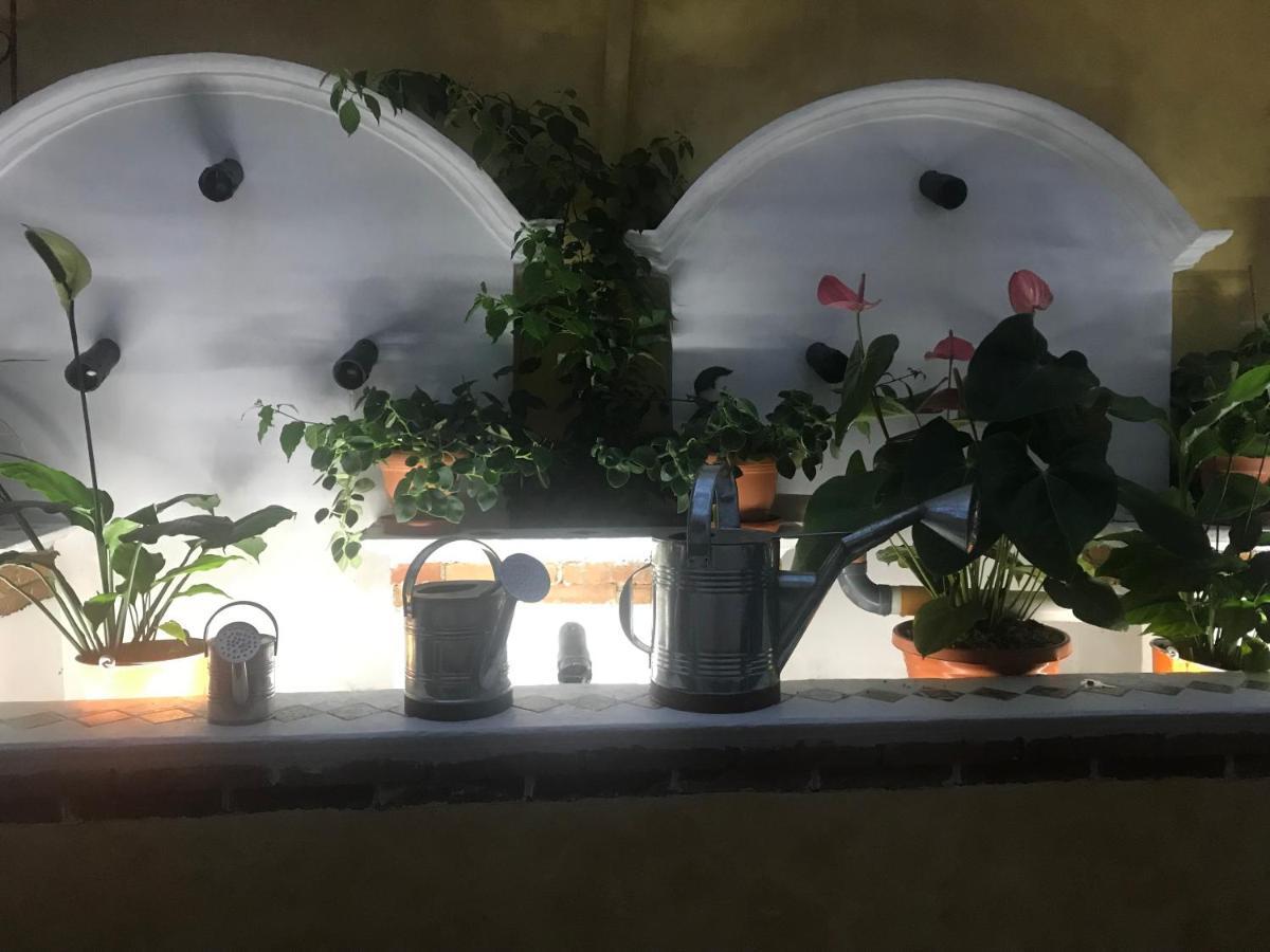 קובאן Hotel Boutique Casa Jose מראה חיצוני תמונה